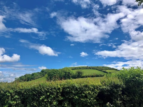 Surrounding area | Seashell House, Burnham-on-Sea
