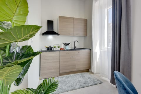 Apartment, 1 Bedroom (7) | Private kitchen | Mini-fridge, stovetop, espresso maker, coffee/tea maker