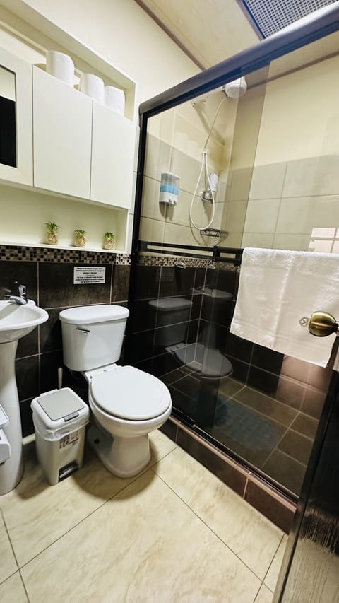 Deluxe Apartment, 2 Bedrooms, Kitchen | Bathroom | Shower, hair dryer, towels, soap