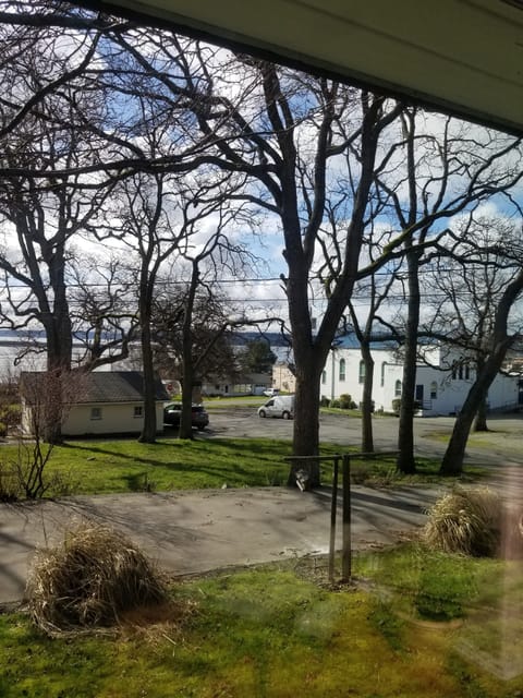 partial view from living room