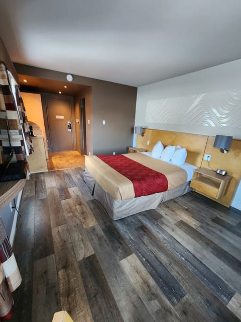 Superior Single Room | Premium bedding, blackout drapes, iron/ironing board, free WiFi