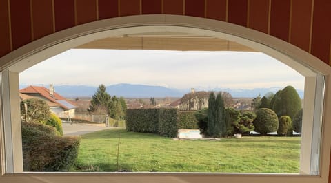 View from dining room