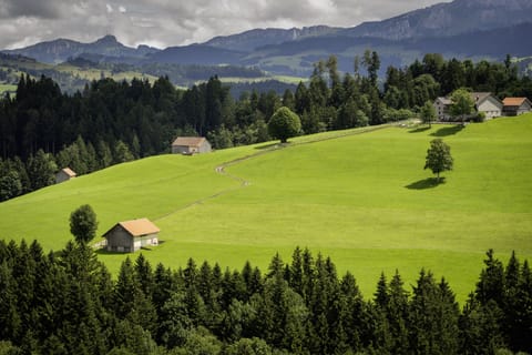 Hypo-allergenic bedding, in-room safe, desk, laptop workspace
