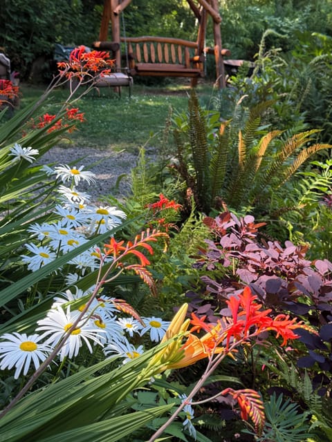 Hidden Pond in full bloom !