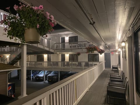 Standard Double Room | Terrace/patio