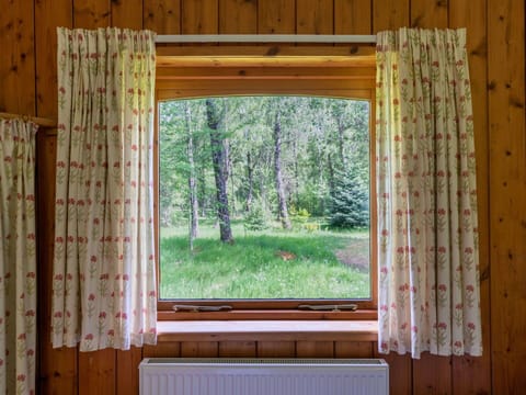Property, Window, Plant, Leaf, Shade, Wood, Curtain, Interior Design, Rectangle