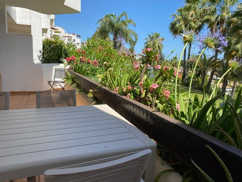 Terrace & communal gardens