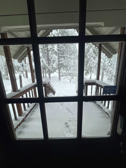 Looking out on a snowy day