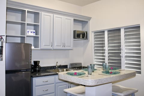 Classic Condo | Private kitchen | Full-size fridge, microwave, oven, stovetop