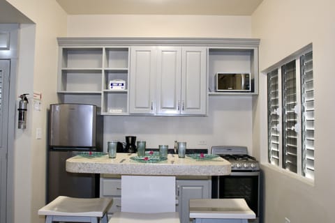 Classic Condo | Private kitchen | Full-size fridge, microwave, oven, stovetop