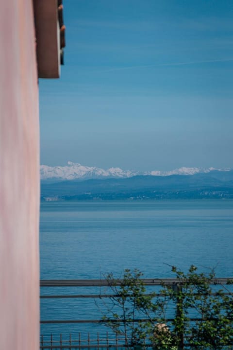 Apartment (Apartment Jug with terrace) | View from room