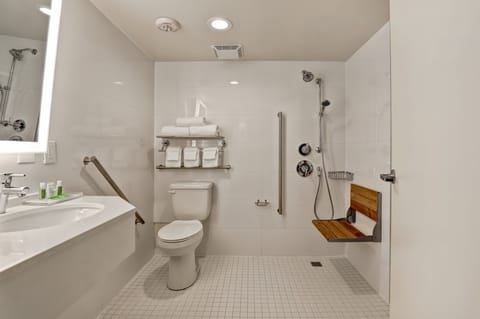 Standard Room, 1 Queen Bed, Accessible (Communications, Roll-In Shower) | Bathroom | Combined shower/tub, eco-friendly toiletries, hair dryer, towels