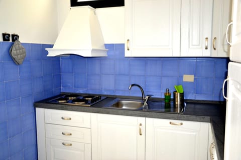 Premier Apartment, 2 Bedrooms (Galli) | Private kitchen | Full-size fridge, microwave, stovetop, dishwasher