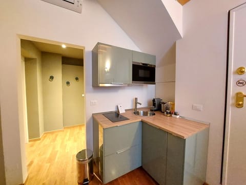 Executive Apartment, Annex Building | Private kitchen | Full-size fridge, microwave, oven, stovetop