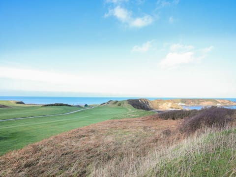 Cottage | 3 bedrooms, individually decorated, individually furnished, free WiFi