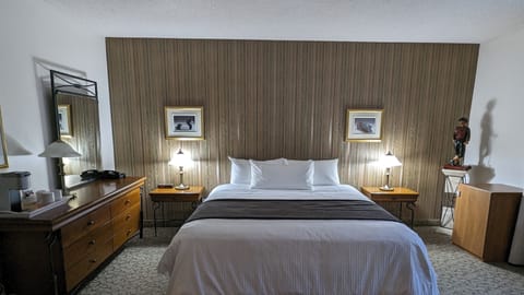 Superior Room, 1 King Bed | Hypo-allergenic bedding, blackout drapes, iron/ironing board, free WiFi