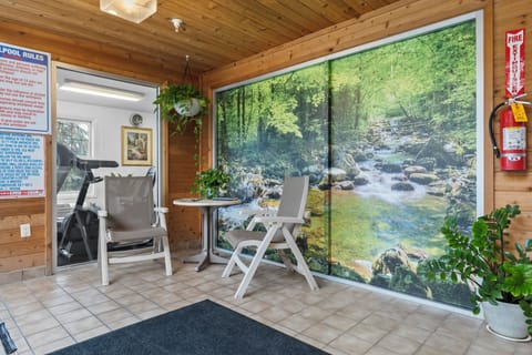 Indoor pool, sun loungers