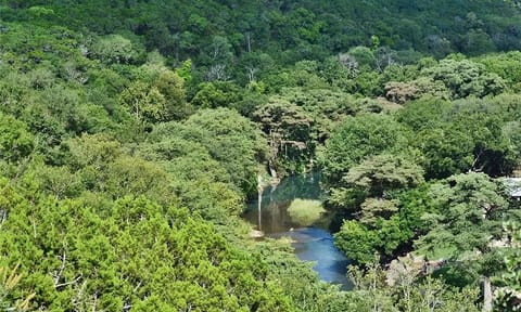 Stunning Guadalupe River View from the house.
