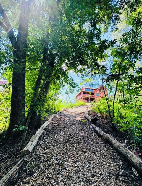 Private Tranquil Nature Walking Trail to enjoy from the backyard