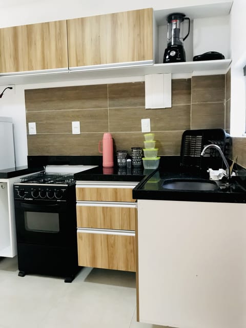 Superior Apartment | Private kitchen | Fridge, microwave, oven, dishwasher