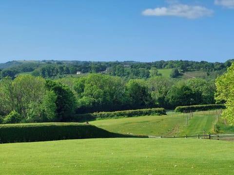 Garden and grounds | Sea View - Coastal Cottages, Saundersfoot