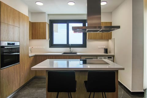 Deluxe Apartment | Private kitchen | Full-size fridge, microwave, oven, stovetop