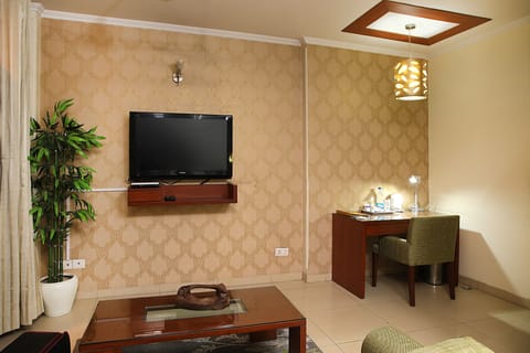 Executive Room, 1 Double Bed, Smoking, Refrigerator | View from room