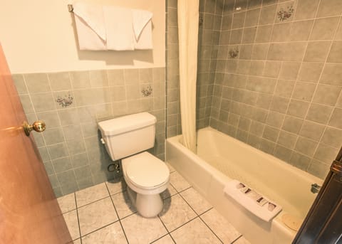 Combined shower/tub, free toiletries, hair dryer, towels