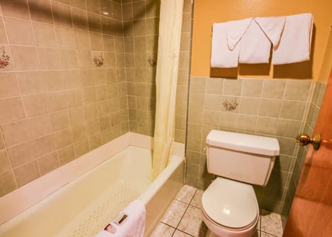 Combined shower/tub, free toiletries, hair dryer, towels