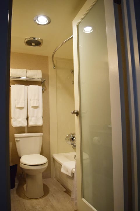 Superior Suite | Bathroom | Combined shower/tub, designer toiletries, hair dryer, towels