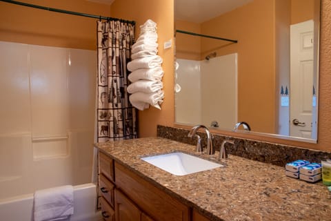 Deluxe Room | Bathroom | Combined shower/tub, hydromassage showerhead, free toiletries