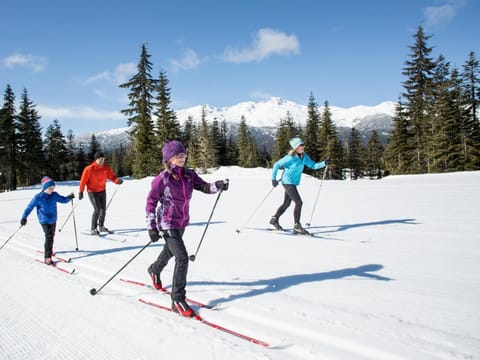 Good family moments - only hear the sound of the soft glide of skis and laughs.