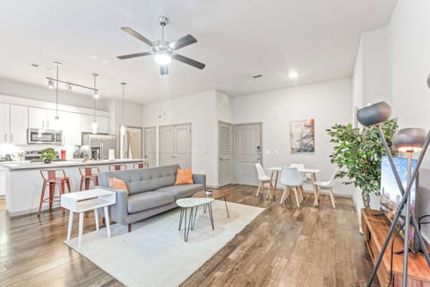 Living room and kitchen