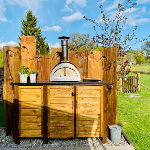 Wood fired pizza oven