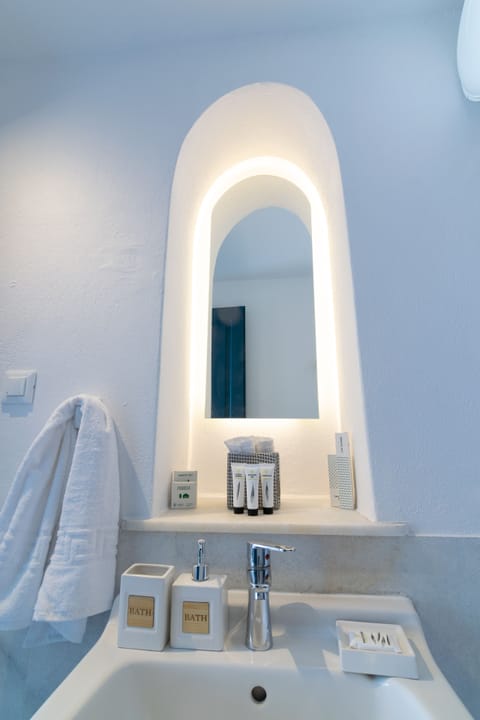 Premium Double Room | Bathroom | Shower, eco-friendly toiletries, hair dryer, bathrobes