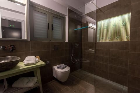 Deluxe Suite | Bathroom | Shower, rainfall showerhead, free toiletries, hair dryer