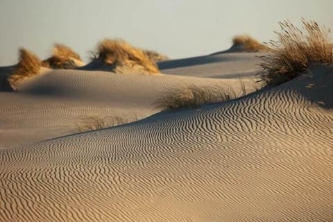 Surroundings [summer] (1-5 km)