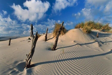 Surroundings [summer] (1-5 km)