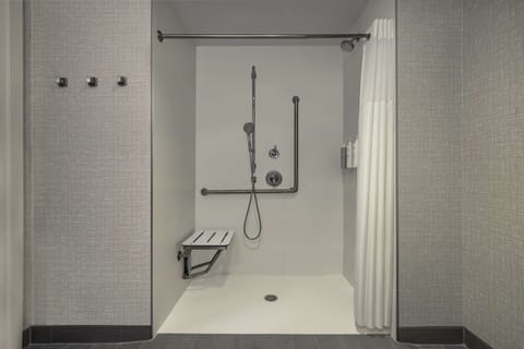 Room, 1 King Bed, Accessible (Roll-In Shower) | Bathroom shower