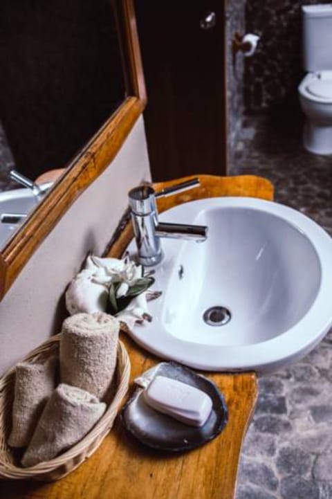 Executive Suite | Bathroom | Shower, hair dryer, towels
