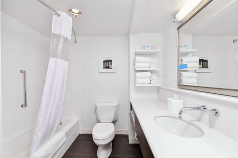 Room, 1 King Bed, Accessible, Bathtub | Bathroom | Combined shower/tub, free toiletries, hair dryer, towels