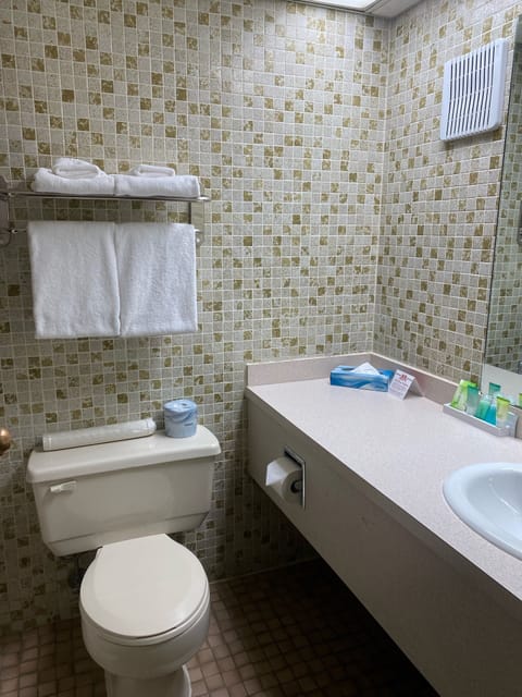 Combined shower/tub, free toiletries, hair dryer, towels