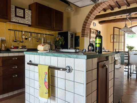 Center island of the Villa's kitchen has a grill, fryer and 6 burner gas stove.
