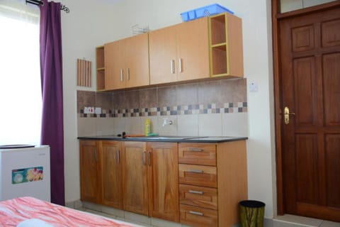 Apartment, 1 Double Bed | Private kitchen | Fridge, microwave, blender, cookware/dishes/utensils