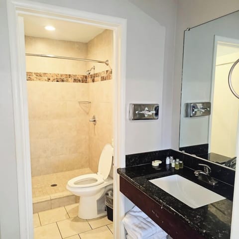 Family Room | Bathroom | Free toiletries, hair dryer, towels