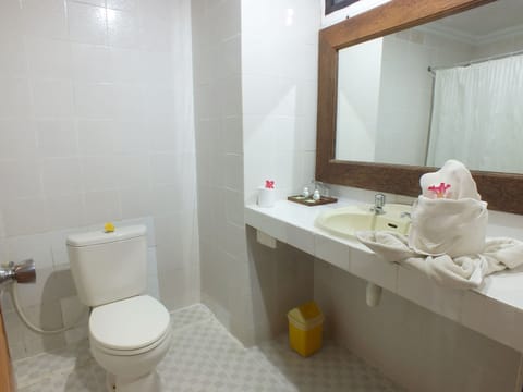 Deluxe Room | Bathroom | Combined shower/tub, spring water tub, rainfall showerhead