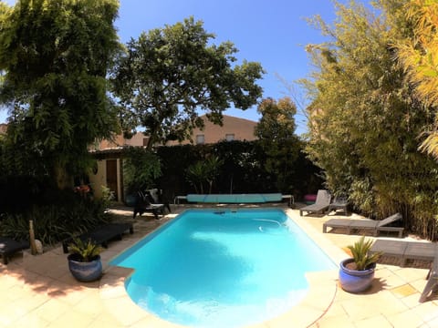 Seasonal outdoor pool, sun loungers