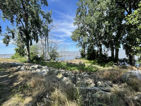 View from top of the steps