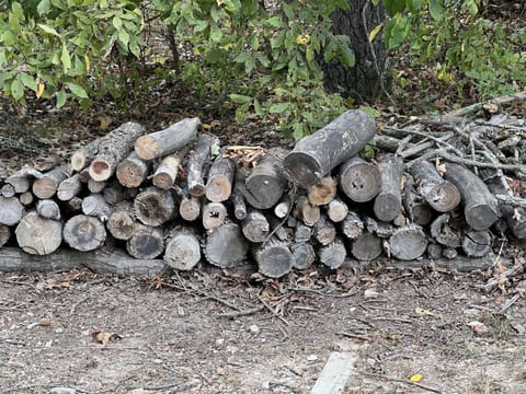 We provide the firewood for the fire pit free of charge.