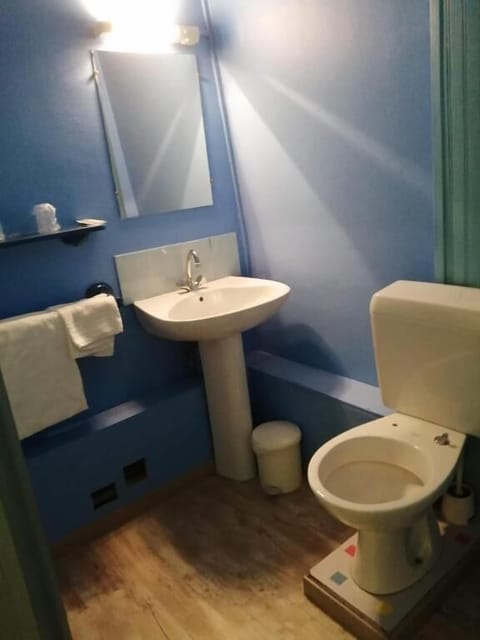 Deluxe Double Room | Bathroom | Free toiletries, towels